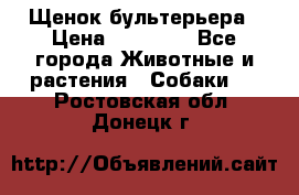 Щенок бультерьера › Цена ­ 35 000 - Все города Животные и растения » Собаки   . Ростовская обл.,Донецк г.